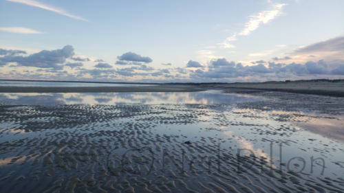 Linnell Beach, Brewster